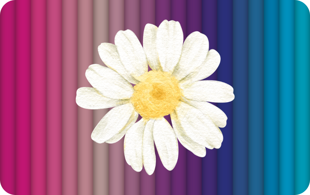 Custom Credit Card Decal| Waterproof Vinyl| Scratch Resistant| Glossy Laminate| Daisy