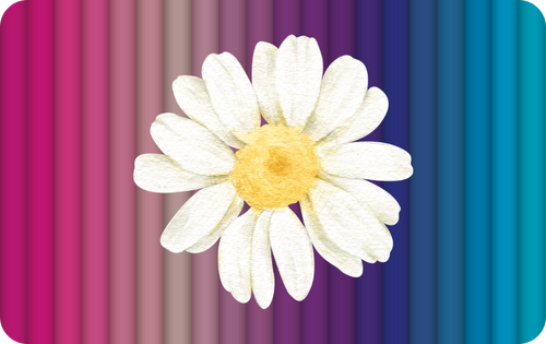 Custom Credit Card Decal| Waterproof Vinyl| Scratch Resistant| Glossy Laminate| Daisy