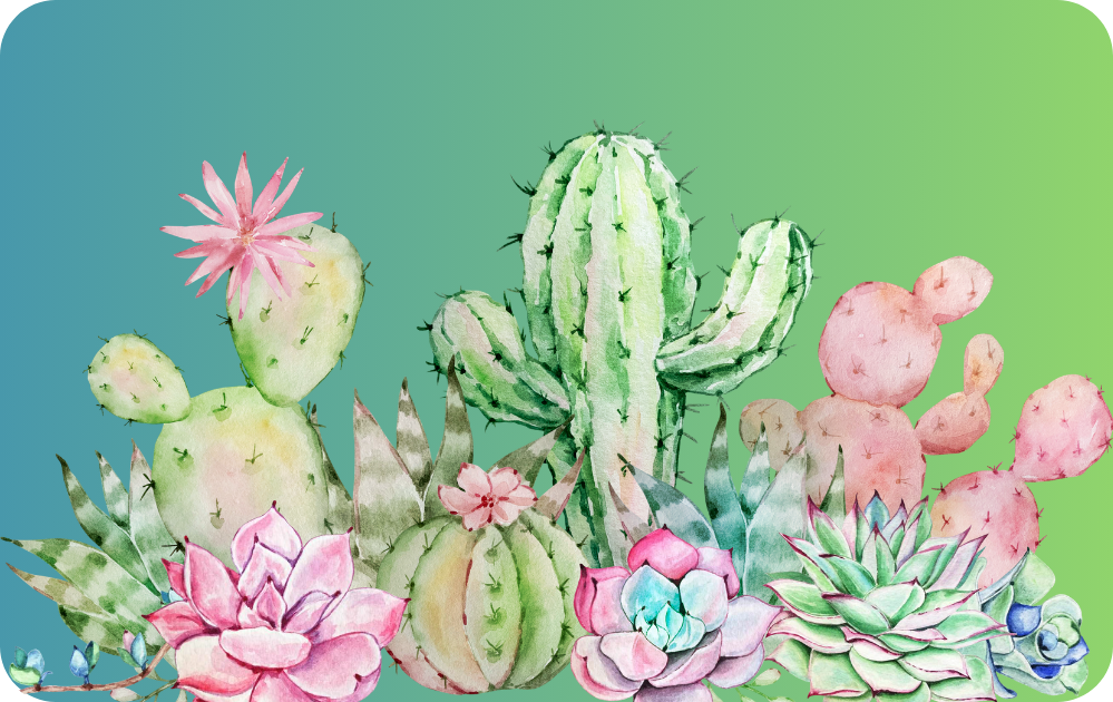 Custom Credit Card Decal| Waterproof Vinyl| Scratch Resistant| Sparkle Laminate| Cactus